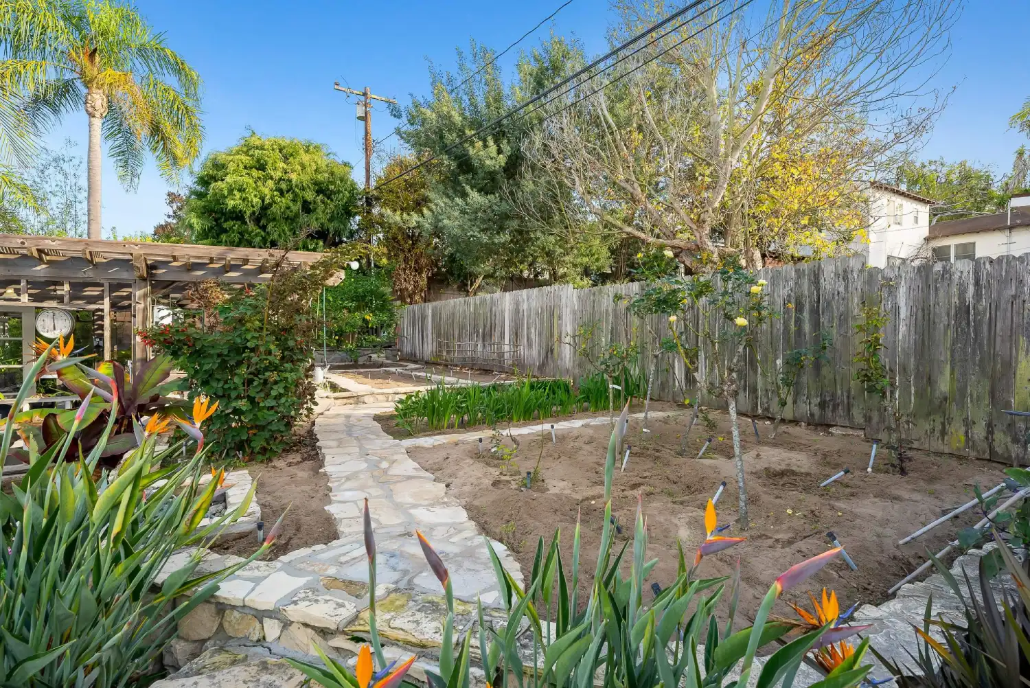 Side-yard planting beds with bird-of-paradise blooms and a stone garden walkway