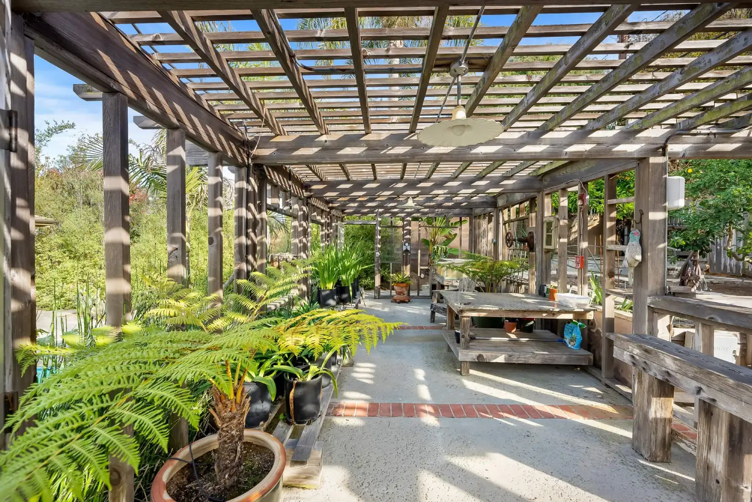 Lattice pergola walkway with potted ferns lining a gravel garden path