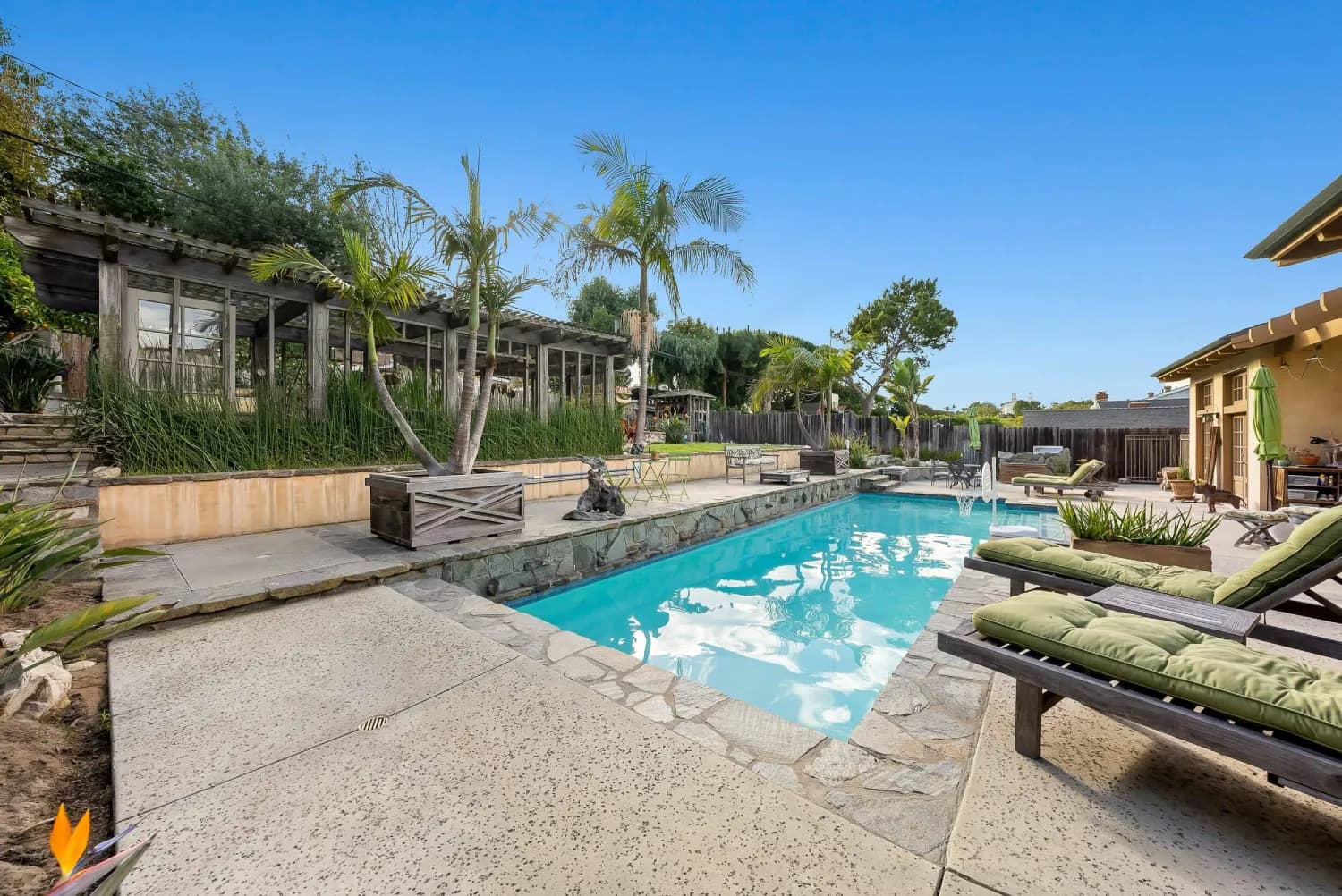 Poolside lounge area with cushioned chaises and a planted raised stone bed