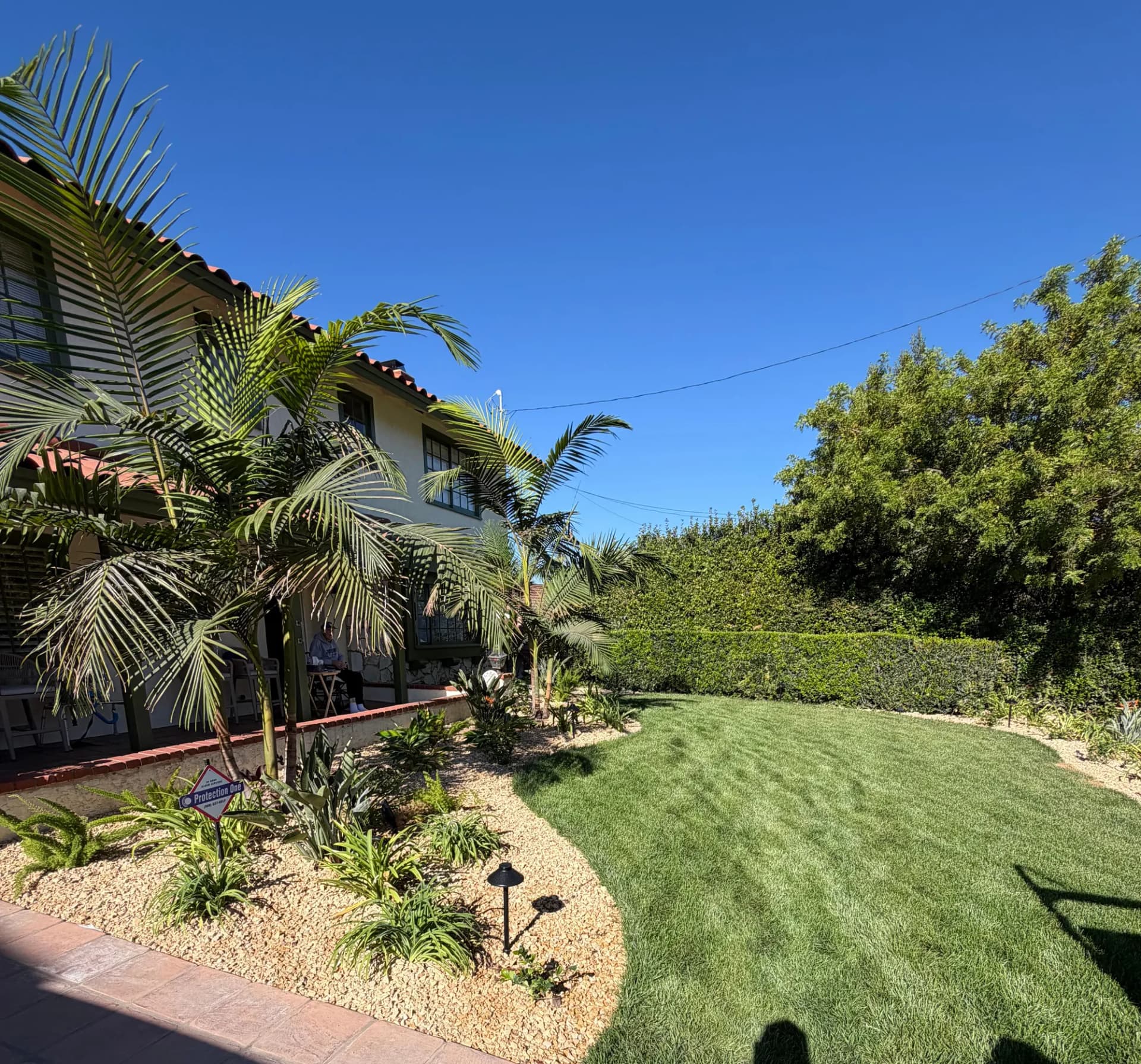 Curving lawn edge with palms, drought-tolerant beds, and low-voltage path lights